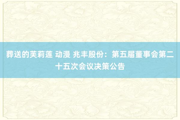 葬送的芙莉莲 动漫 兆丰股份：第五届董事会第二十五次会议决策公告