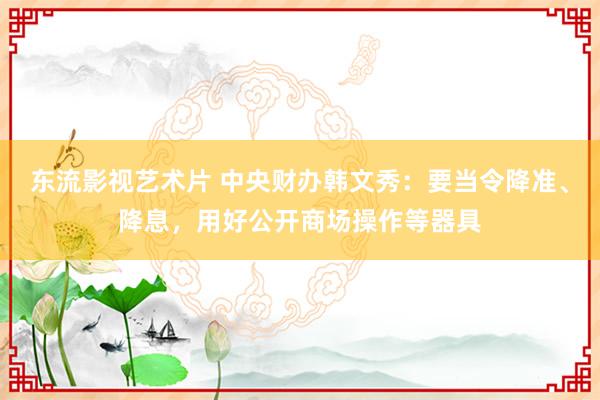 东流影视艺术片 中央财办韩文秀：要当令降准、降息，用好公开商场操作等器具