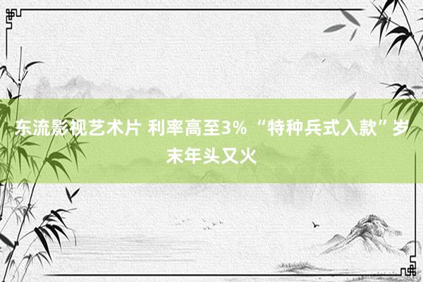 东流影视艺术片 利率高至3% “特种兵式入款”岁末年头又火