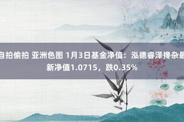 自拍偷拍 亚洲色图 1月3日基金净值：泓德睿泽搀杂最新净值1.0715，跌0.35%