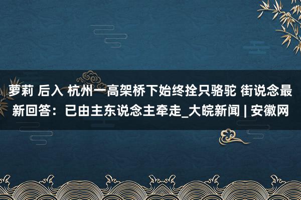 萝莉 后入 杭州一高架桥下始终拴只骆驼 街说念最新回答：已由主东说念主牵走_大皖新闻 | 安徽网