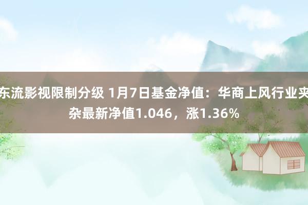 东流影视限制分级 1月7日基金净值：华商上风行业夹杂最新净值1.046，涨1.36%