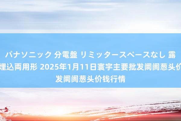 パナソニック 分電盤 リミッタースペースなし 露出・半埋込両用形 2025年1月11日寰宇主要批发阛阓葱头价钱行情