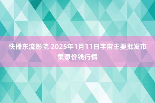 快播东流影院 2025年1月11日宇宙主要批发市集葱价钱行情