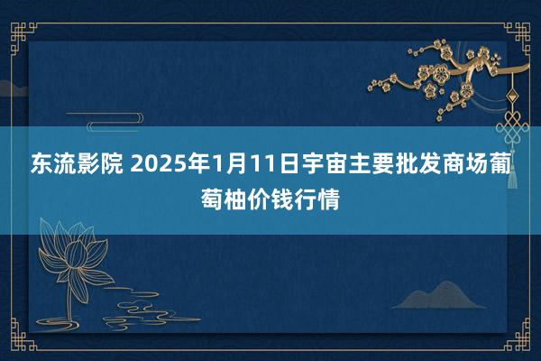 东流影院 2025年1月11日宇宙主要批发商场葡萄柚价钱行情