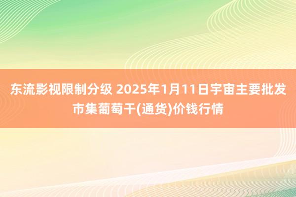 东流影视限制分级 2025年1月11日宇宙主要批发市集葡萄干(通货)价钱行情