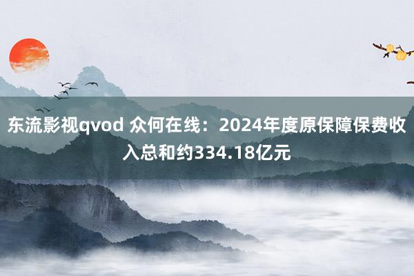 东流影视qvod 众何在线：2024年度原保障保费收入总和约334.18亿元