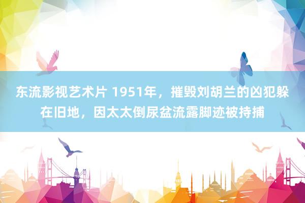 东流影视艺术片 1951年，摧毁刘胡兰的凶犯躲在旧地，因太太倒尿盆流露脚迹被持捕