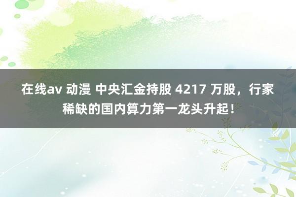 在线av 动漫 中央汇金持股 4217 万股，行家稀缺的国内算力第一龙头升起！