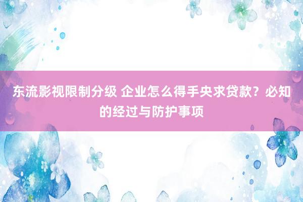 东流影视限制分级 企业怎么得手央求贷款？必知的经过与防护事项